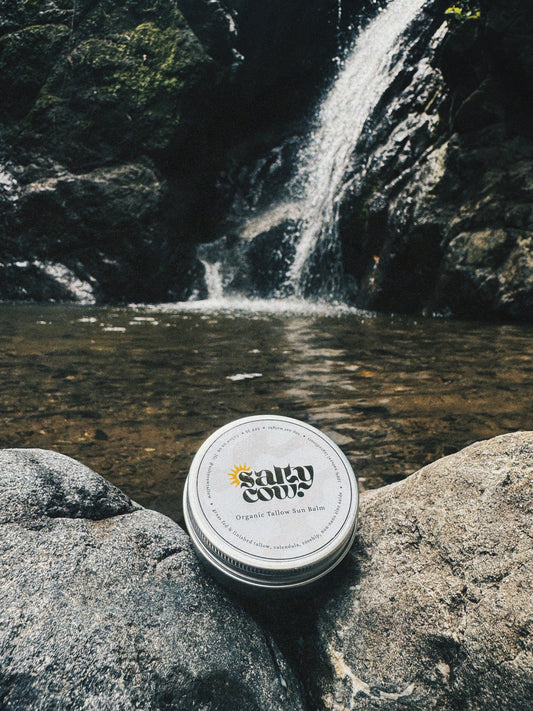 Salty Cow Organic Tallow Sun Balm SPF 35+