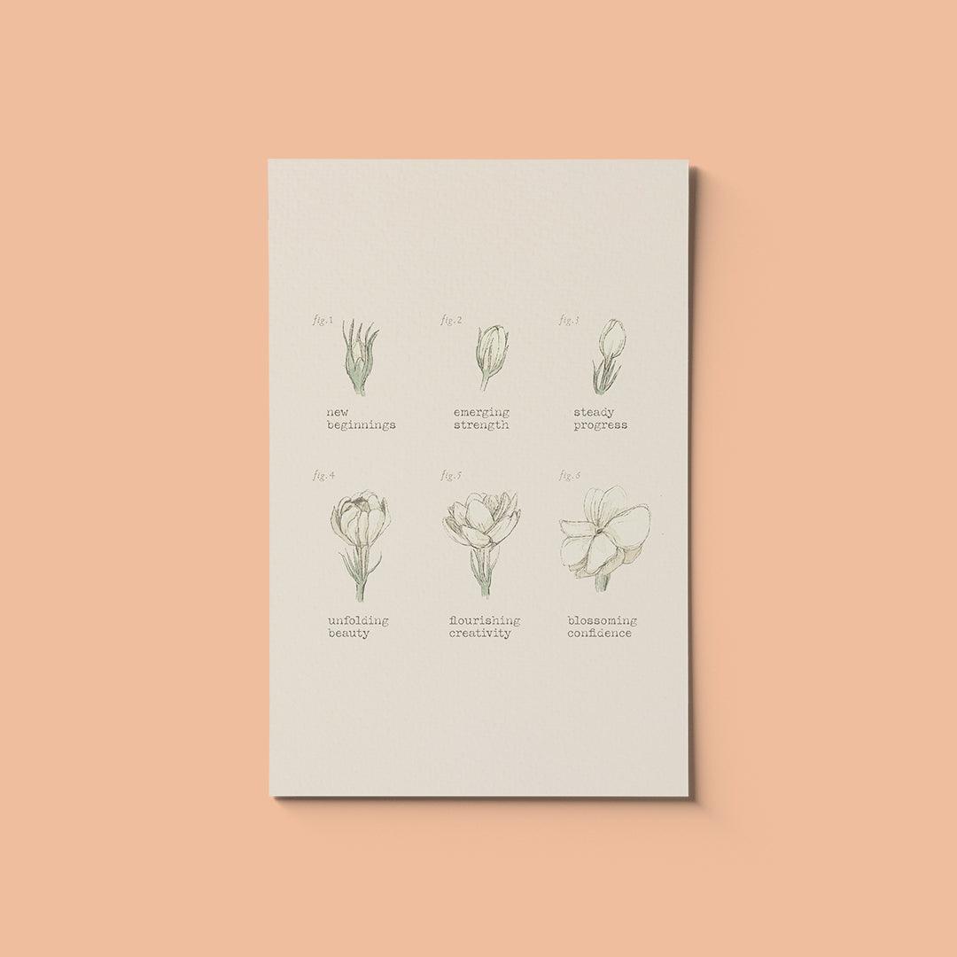 Postcards - Simula PH