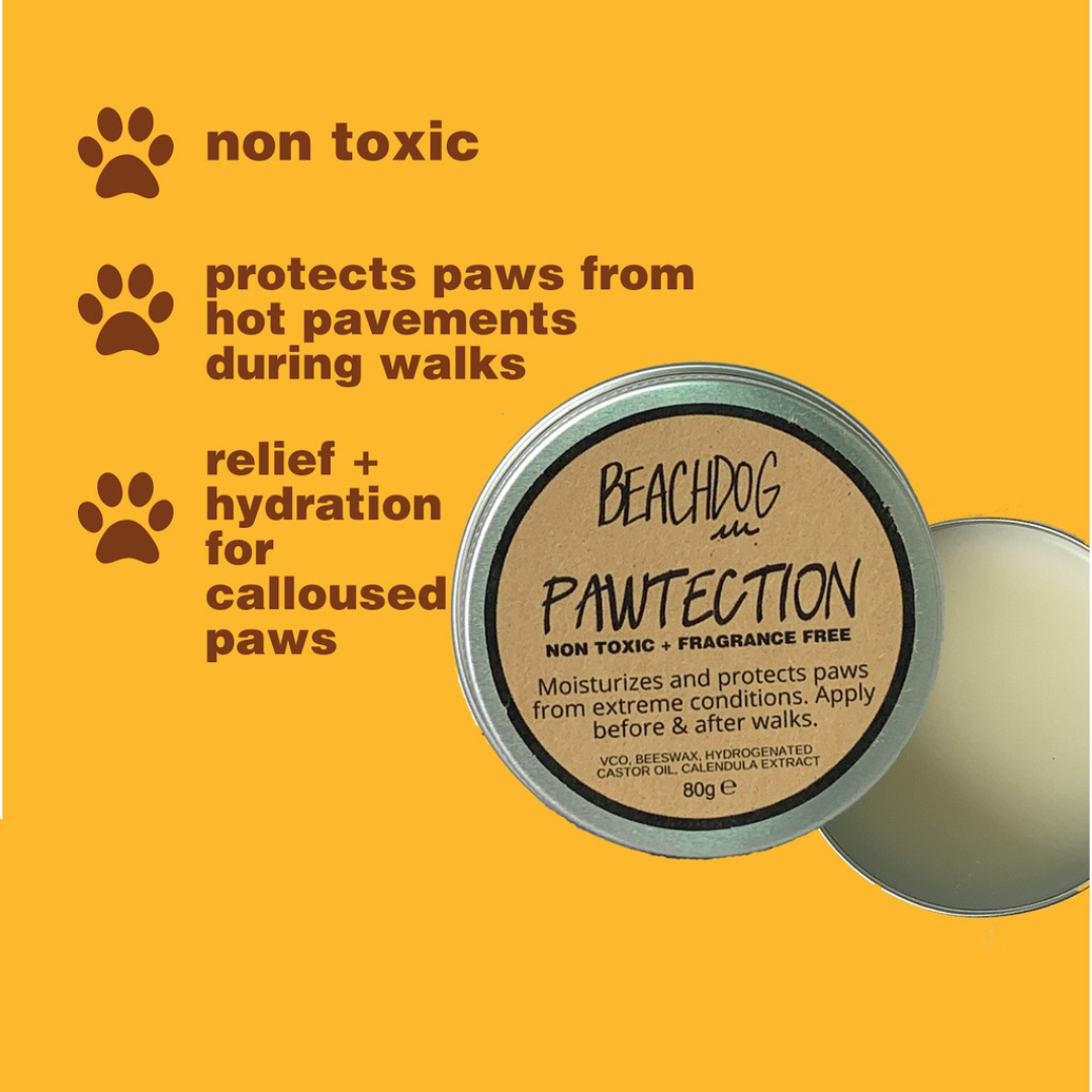 BEACHDOG Pawtection Balm