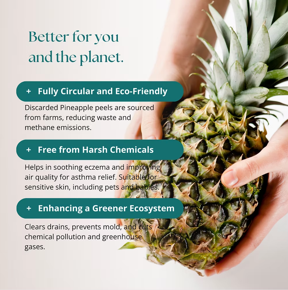 Natural Dishwashing Liquid Pineapple 500ml - Simula PH