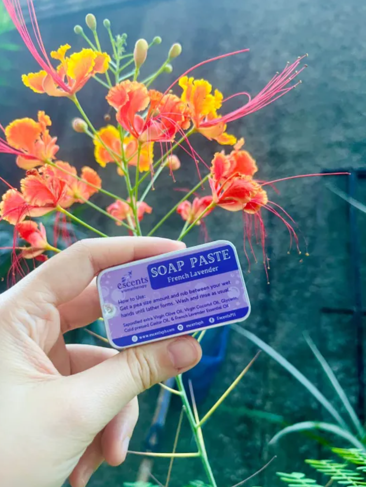 Soap Paste