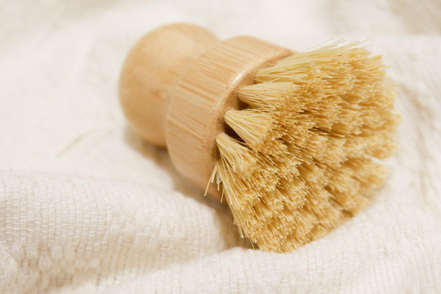 Pot Brush-Simula PH-Simula PH