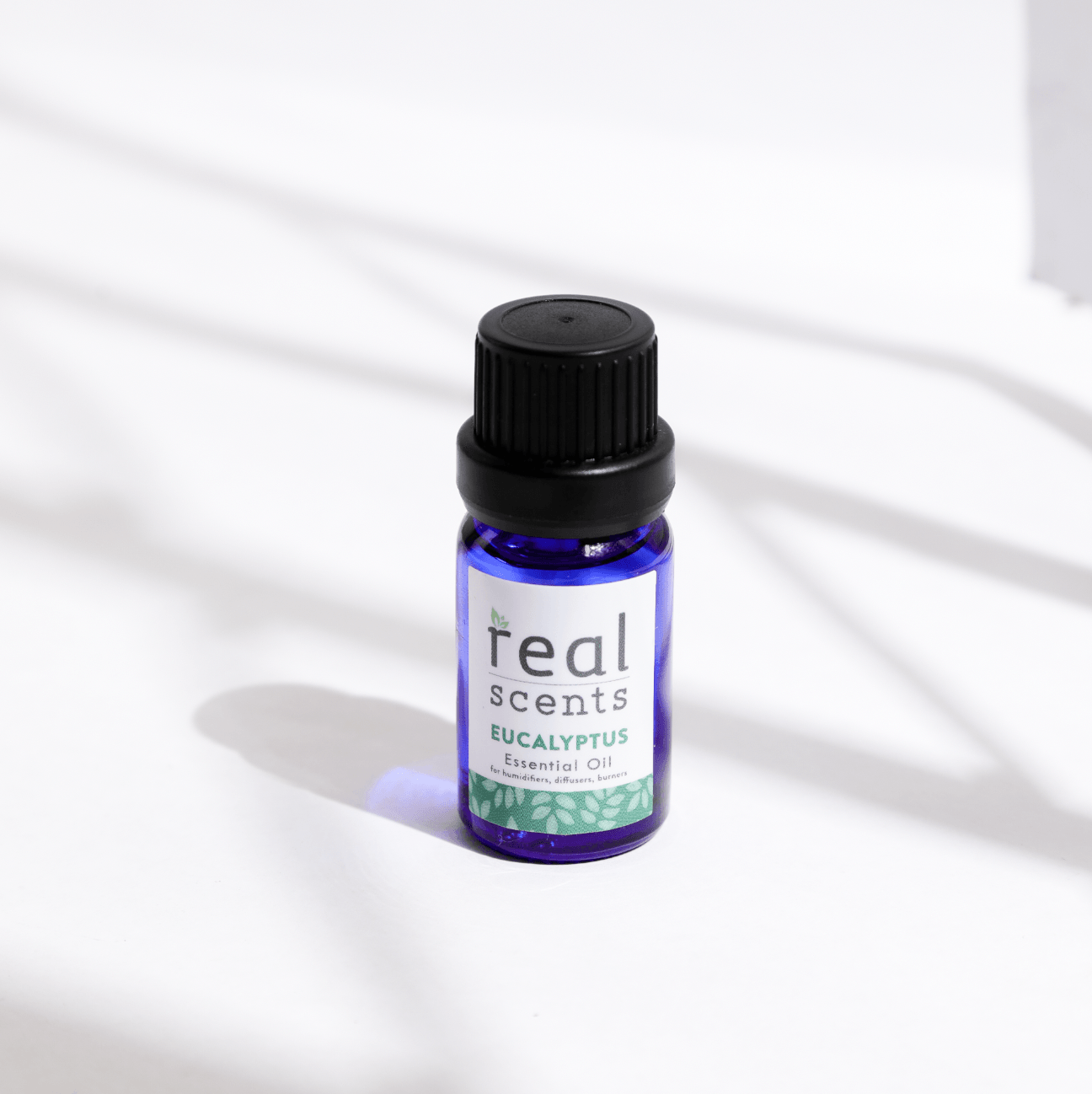 Eucalyptus Essential Oil - Simula PH