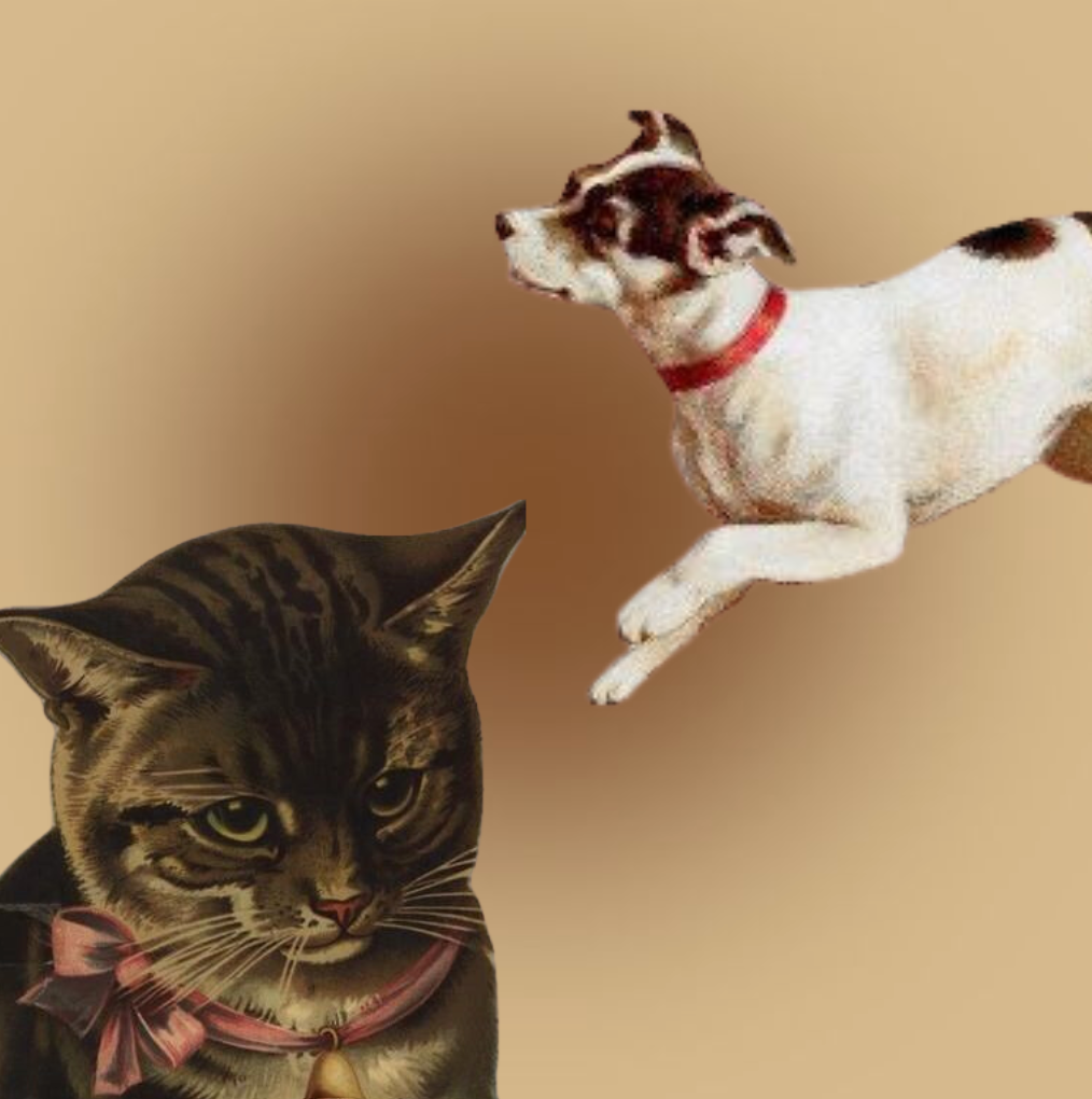 Pets