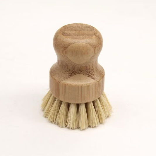 Dish Brush
