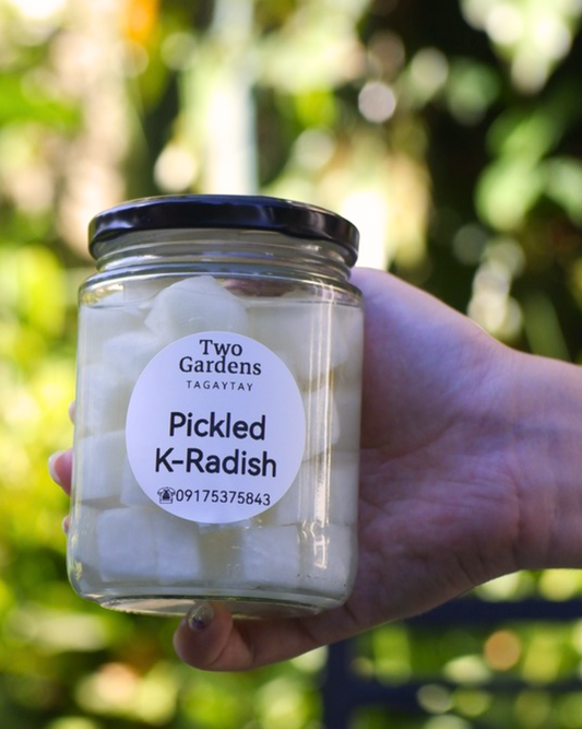 Pickled K-Radish