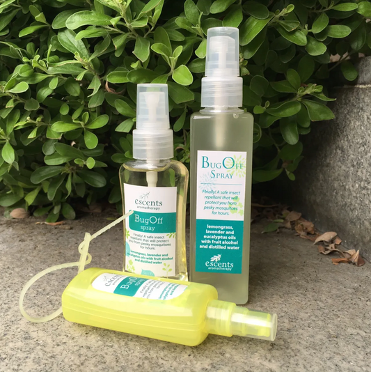 BugOff Spray and Lotion