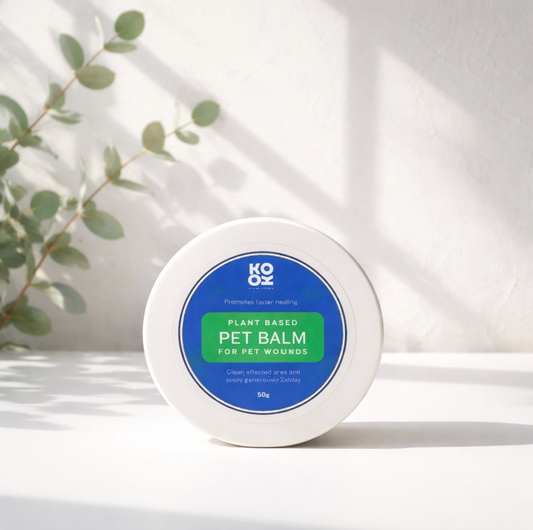 Plant-Based Pet Balm