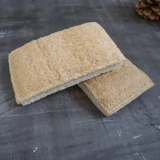 Eco Sponge - Simula PH