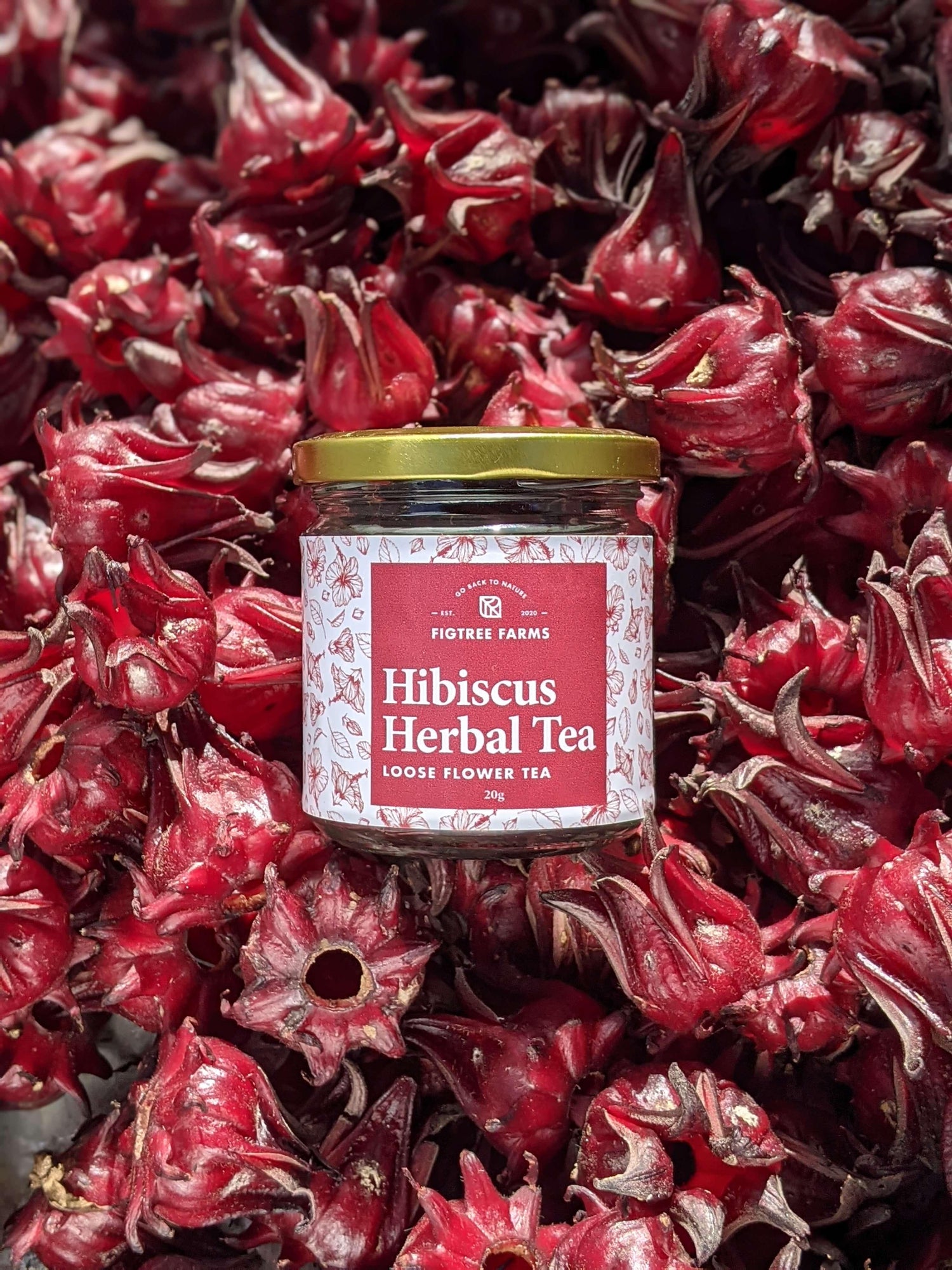 Hibiscus Herbal Loose Leaf Tea - Simula PH