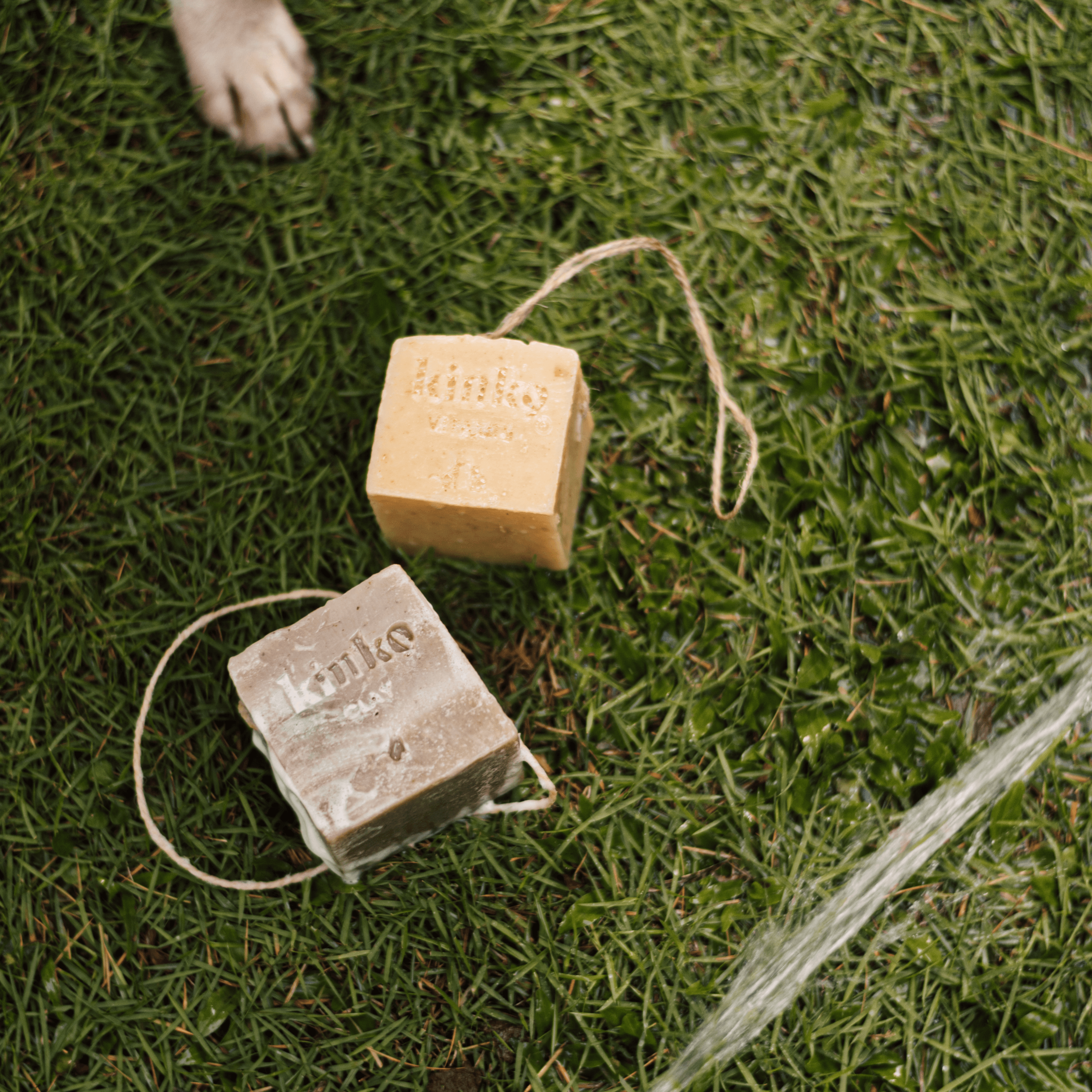 Pet Shampoo Cubes – Simula PH
